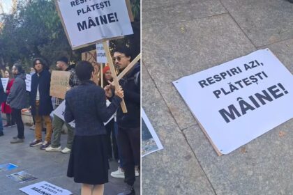 video cresc amenzile pentru taierile ilegale ale copacilor din bucuresti proiectul fiind votat in cgmb ong urile au militat pentru salvarea arborilor inainte de sedinta 69038ba24de45