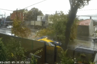 video momentul in care un copac cade peste o masina aflata in mers in bucuresti 68dfc39be6a4e