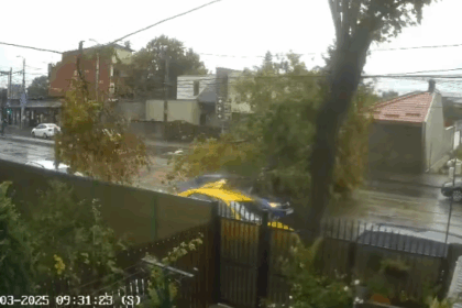 video momentul in care un copac cade peste o masina aflata in mers in bucuresti 68dfc39be6a4e