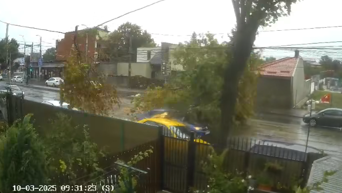 video momentul in care un copac cade peste o masina aflata in mers in bucuresti 68dfc39be6a4e