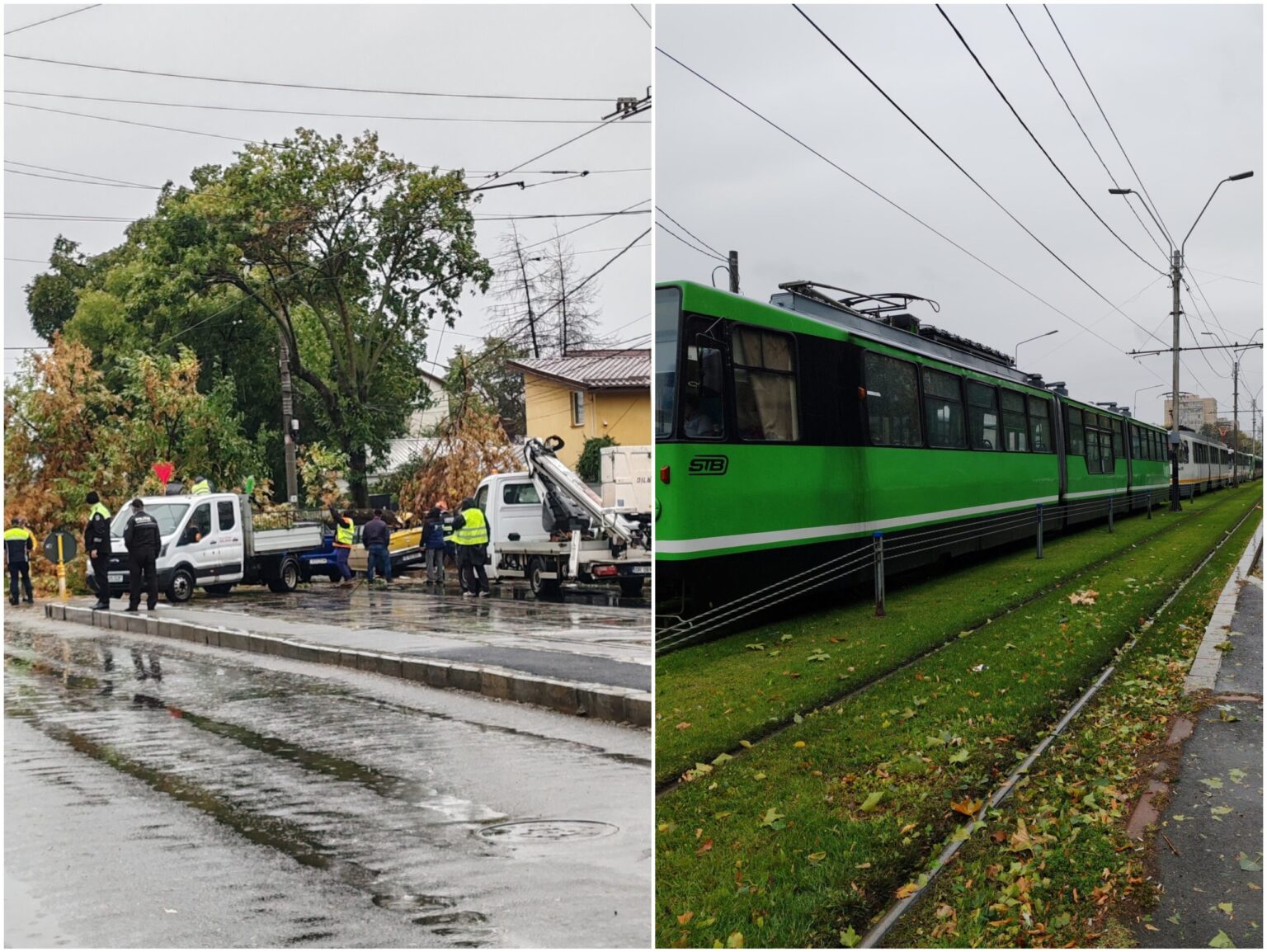 video momentul in care un copac se prabuseste peste masini in mers pe luica in bucuresti e pana la noapte vremea extrema cu rafale violente de vant frig si ploi 68df97aba499d