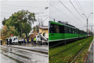 video momentul in care un copac se prabuseste peste masini in mers pe luica in bucuresti e pana la noapte vremea extrema cu rafale violente de vant frig si ploi 68df97aba499d
