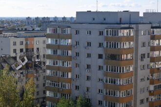 video pisoi reunit cu stapanul lui la o saptamana de la explozia din rahova asociatiile din bucuresti ofera sprijin pentru salvarea animalelor de companie pierdute 68fe298075751