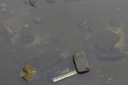 video starea deplorabila a raului dambovita din capitala scoasa la iveala odata cu lucrarile din piata unirii ce se afla pe fundul acestuia 68ffa2208499e