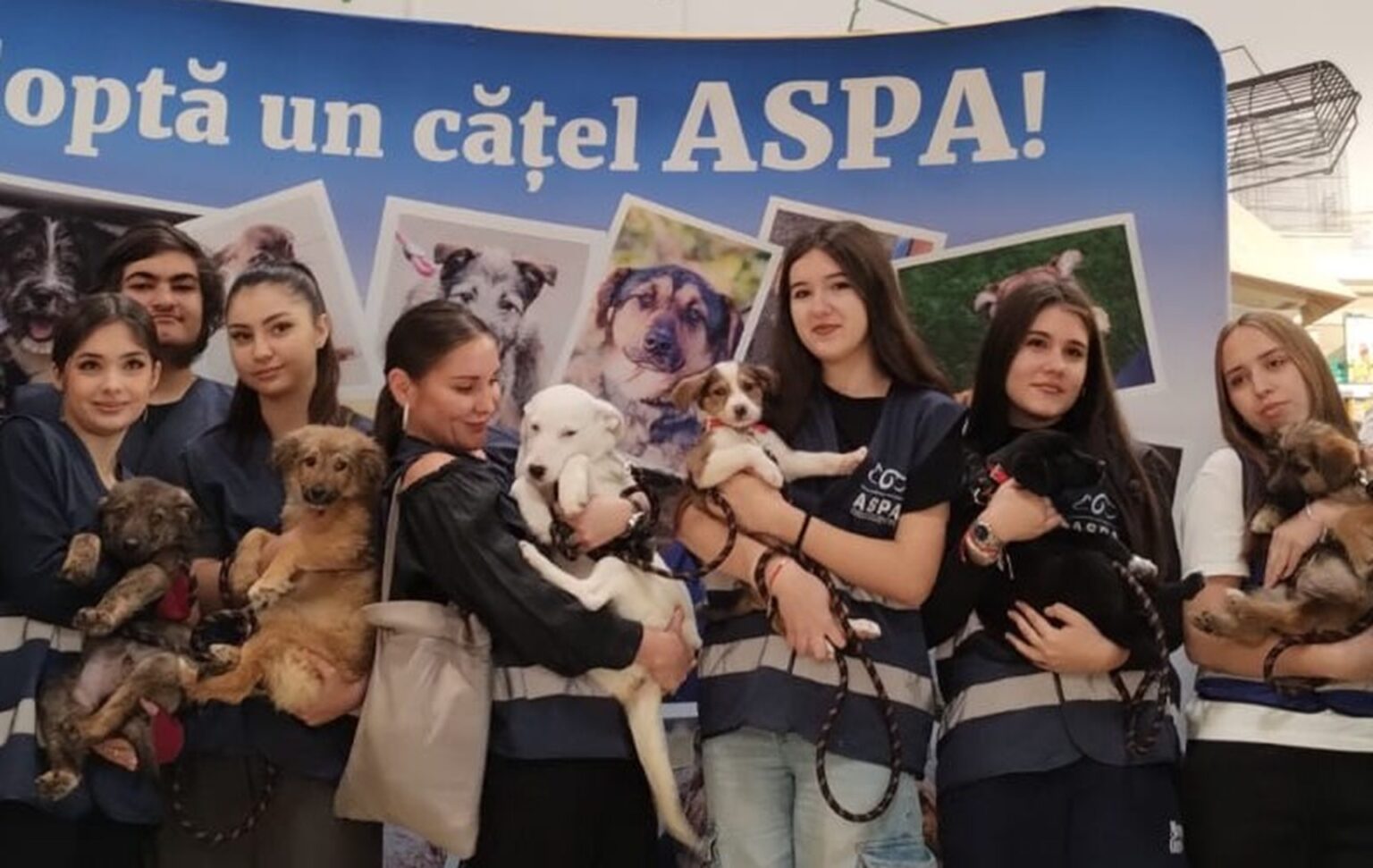 15 catelusi isi cauta weekend ul viitor familii f09f90b6 aspa organizeaza un nou targ de adoptii la animax vulcan 6909b1e11a589