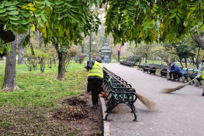 ampla campanie de curatenie si plantari in capitala interventii in parcuri si in centrul istoric 69173b3be1d0a