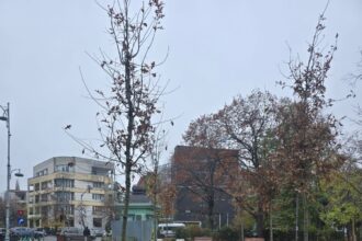 aproape 200 de arbori plantati in parcul regele mihai i 691990ddcaf98