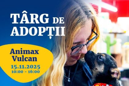 bucurestenii sunt invitati la un nou targ de adoptii de catei organizat de aspa 6916fac0f0152