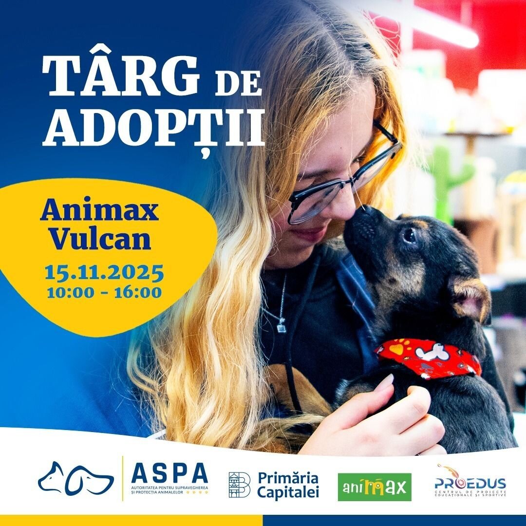 bucurestenii sunt invitati la un nou targ de adoptii de catei organizat de aspa 6916fac0f0152