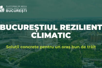 bucurestiul are nevoie urgenta de o strategie de rezilienta climatica 500 000 de lei pentru proiecte care cresc rezilienta orasului 6914925796dff