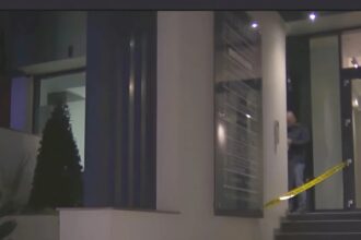 cabinetul stomatologic din bucuresti in care a murit fetita de 2 ani nu avea autorizatie de functionare confirmarea dsp 6918a4f77065b