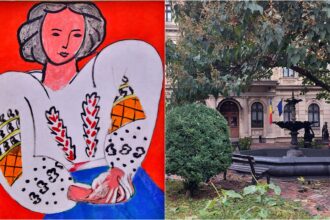 celebrul tablou la blouse roumaine a ajuns la bucuresti pictura lui henri matisse poate fi admirata la muzeul national de arta pana in luna februarie 69205915502ea