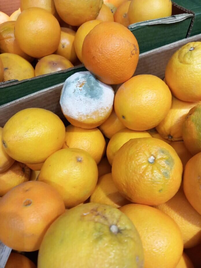 comisarii anpc au dat amenzi de aproape 55 milioane de lei in urma controalelor din aceasta saptamana 6929bd1aa4820