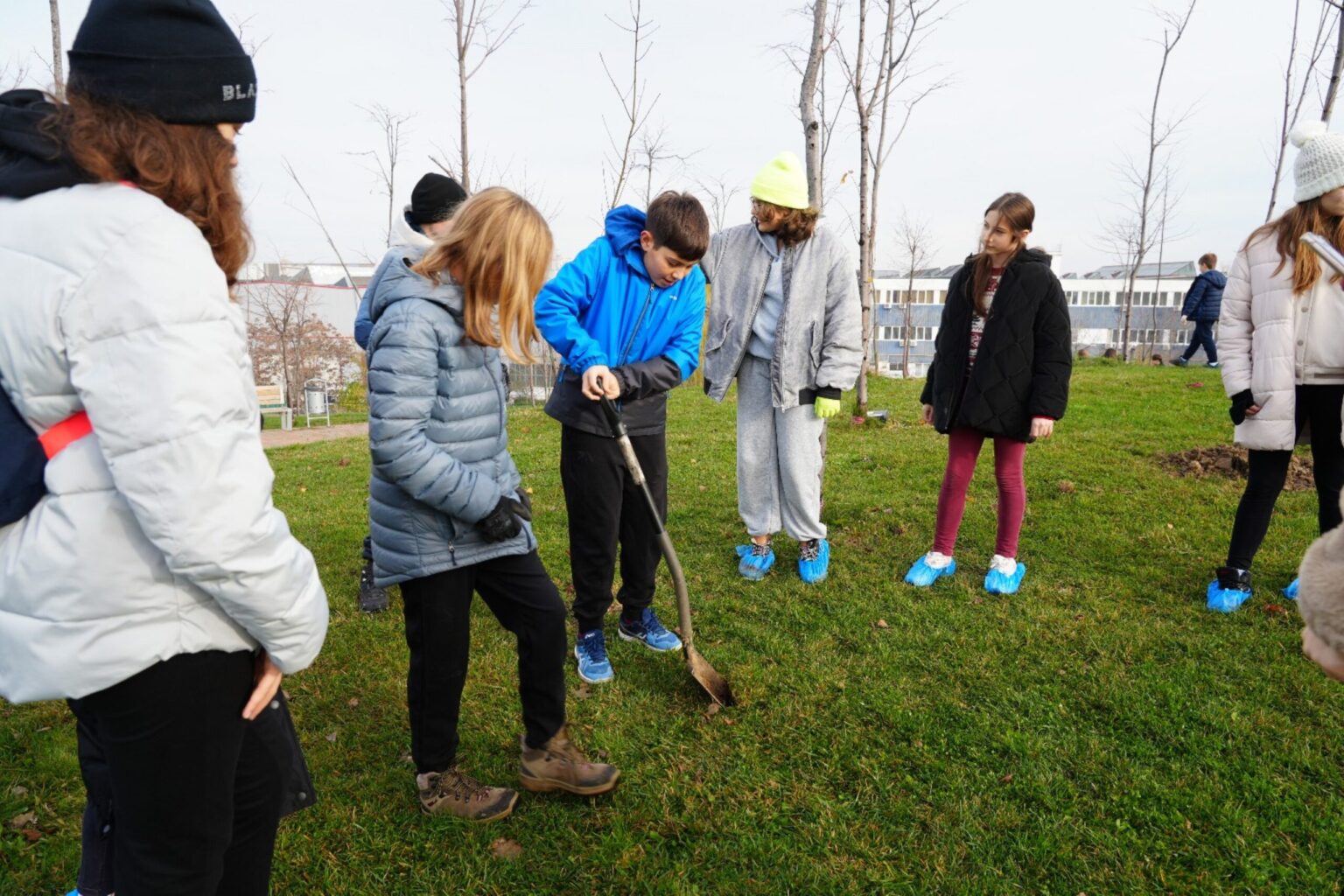 elevii scolii nr 195 au plantat 200 de stejari rosii in parcul teilor alaturi de primaria sectorului 3 6925b965c2014