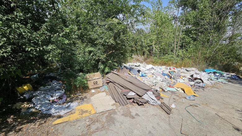 exclusiv ministra mediului avem nevoie de o lege pentru valorificarea deseurilor din constructii in alte state sunt vazute ca resurse 6927e5ed702a0