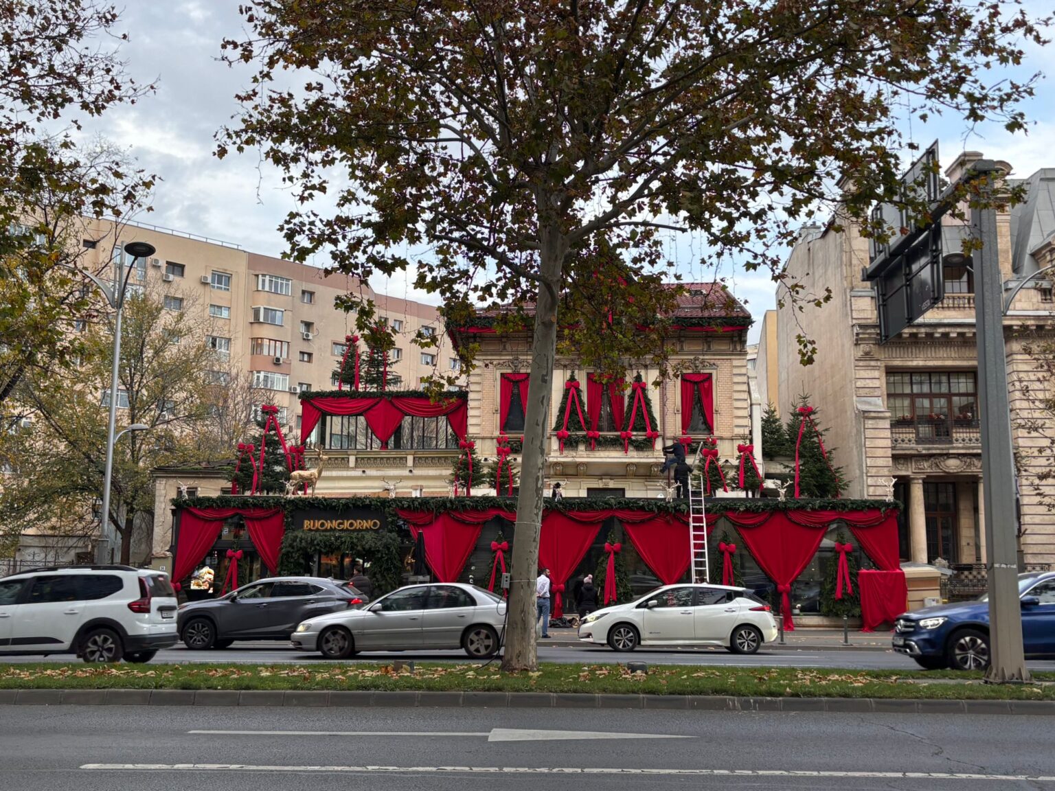 foto f09f8e80 restaurantul buongiorno aduce spriritul craciunului pe calea victoriei cu funde imense si renii care l vor ajuta pe mosul 691b39f3b12e5