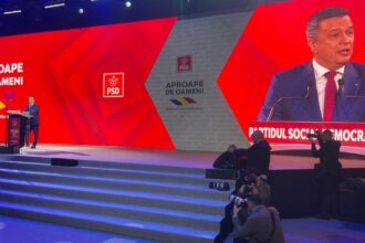 grindeanu nu mai vreau un psd reactiv plapand si care doar raspunde la atacuri vreau un psd care da tonul nu mai vreau un psd care se rusineaza in fata criticilor dreptei 690dea7700c77