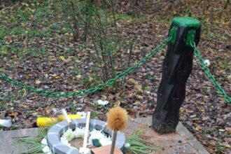 ilfov troita lui corneliu zelea codreanu a fost distrusa si inlocuita cu o perie de wc 692be5144a84e