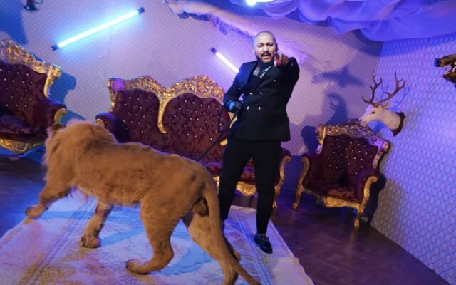 manelistul dani mocanu a fost condamnat definitiv la 4 ani cu executare pentru tentativa de omor 690c7824d6605