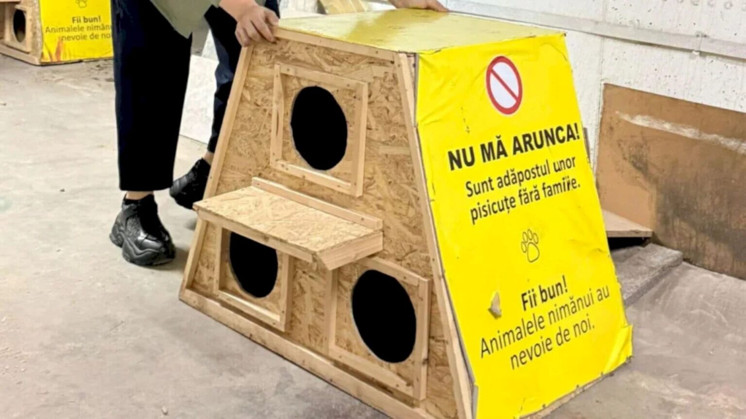 noi casute pentru pisicile fara stapan din bucuresti si ilfov vor fi livrate saptamana viitoare ce conditii trebuie indeplinite pentru a intra in posesia uneia f09f9088 690f4cfde9eb1