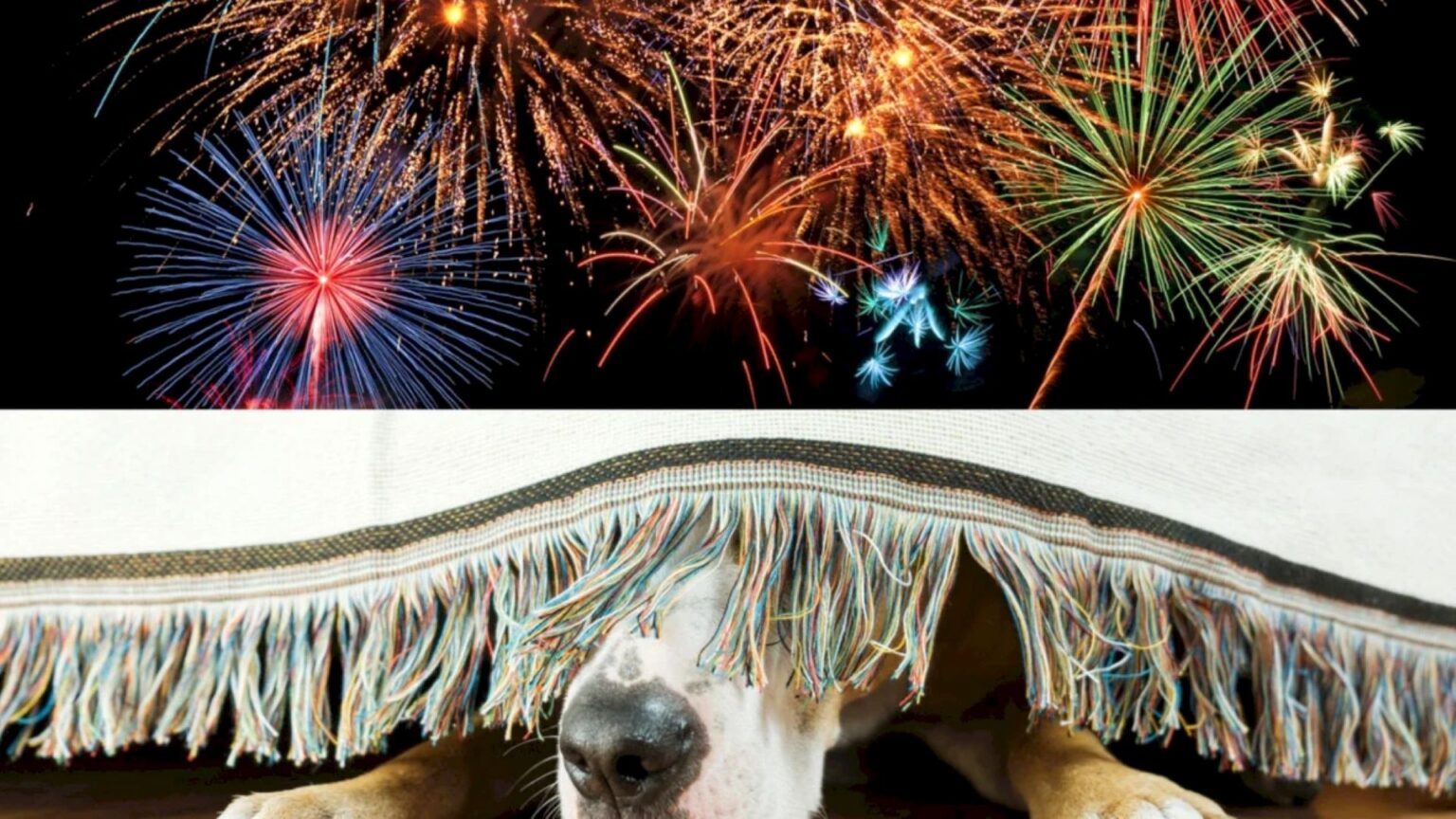 peste 9 000 de bucuresteni cer sub semnatura interzicerea petardelor si artificiilor de revelion in capitala petitia va fi discutata in sedinta de joi a cgmb 69244c4d804f3