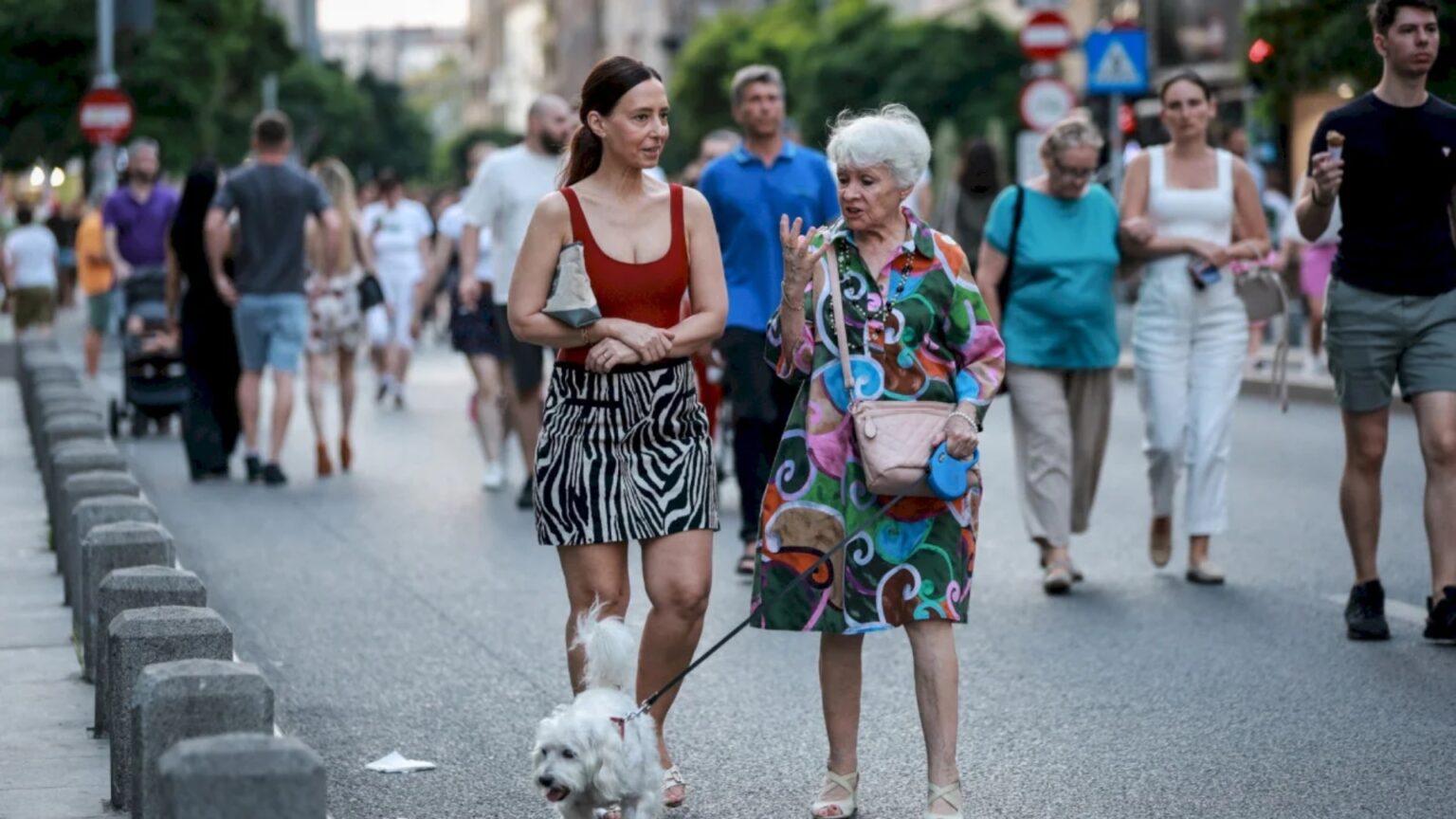 petitie pentru a transforma calea victoriei intr o zona pietonala au fost stranse peste 28 000 de semnaturi 692307b9f2c66