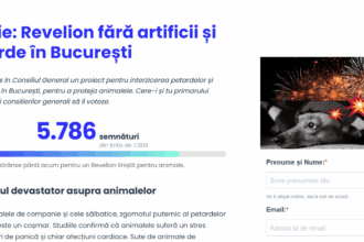 petitie pentru un revelion fara artificii in bucuresti proiect depus in consiliul general pentru interzicerea petardelor in sprijinul animalelor si al sigurantei publice 692355b1b8e61