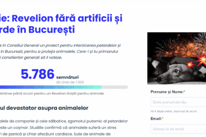 petitie pentru un revelion fara artificii in bucuresti proiect depus in consiliul general pentru interzicerea petardelor in sprijinul animalelor si al sigurantei publice 692355b1b8e61