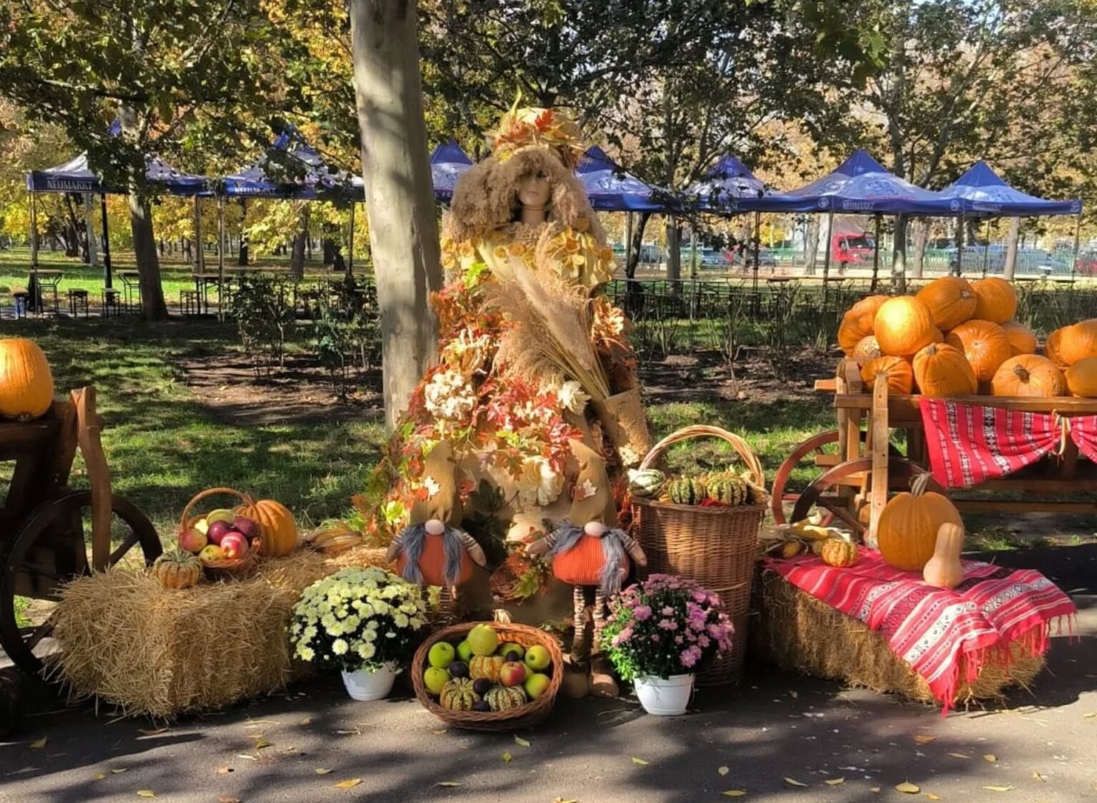 placinte de toate felurile dovleac copt si voie buna in weekend la festivalul dulce de toamna f09f8e83 are loc in parcul izvor intrarea este libera 690caa7a3bb6d