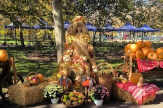 placinte de toate felurile dovleac copt si voie buna in weekend la festivalul dulce de toamna f09f8e83 are loc in parcul izvor intrarea este libera 690caa7a3bb6d