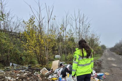 politia locala pantelimon cauta persoanele care persoanele care arunca gunoi in cantitati mari pe spatiile verzi 6919771a2afa1 1