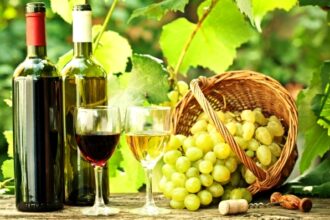 productia de vin a romaniei ar urma sa ajunga in acest an la 41 milioane de hectolitri 691d6b9c7f877