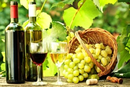 productia de vin a romaniei ar urma sa ajunga in acest an la 41 milioane de hectolitri 691d6b9c7f877