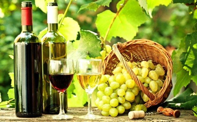 productia de vin a romaniei ar urma sa ajunga in acest an la 41 milioane de hectolitri 691d6b9c7f877