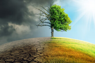 schimbarile climatice o amenintare fara precedent pentru sanatatea a milioane de oameni studiu 6906fe87188d6