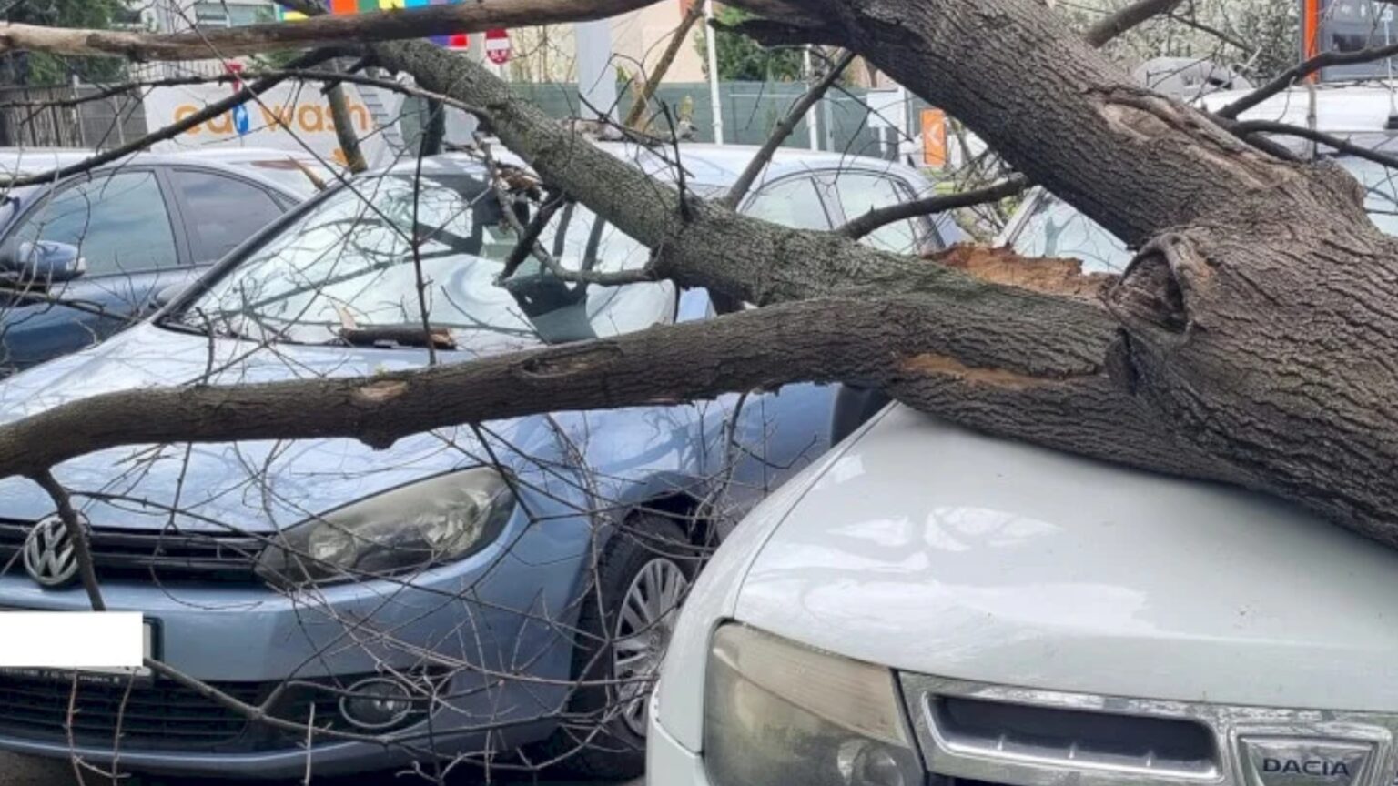 scrisoarea unui patit si suparat bucurestean din berceni catre primarul baluta acum si candidat la primaria mare nu cer decat respect si responsabilitate 69086238ab31c
