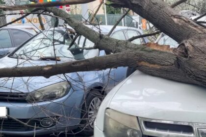 scrisoarea unui patit si suparat bucurestean din berceni catre primarul baluta acum si candidat la primaria mare nu cer decat respect si responsabilitate 69086238ab31c