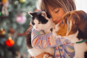 targ de adoptii inainte de mos nicolae cu catei si pisicute la muzeul mina ultimul eveniment de adoptie organizat de aspa anul acesta va fi pe 6 decembrie 6923326e89f79