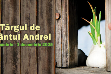 targul de sfantul andrei va fi deschis la muzeul satului intre 29 noiembrie si 1 decembrie 692570be66711