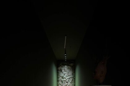 teatrul nou amendat cu 20 000 de euro si inchis cel mai grav este ca nu ne mai mira cele intamplate 69241f3f08366