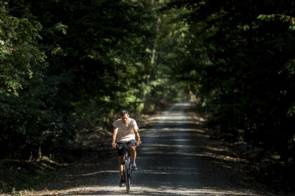 tur ghidat in padurea baneasa organizat de asociatia parcul natural bucuresti e gratuit si e in weekend in limita locurilor disponibile 690b71888c71b