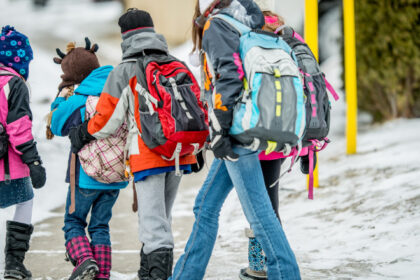 vacanta de iarna 2025 2026 cate zile libere au elevii si profesorii in decembrie cand incepe al treilea modul de cursuri 692937c3ad280