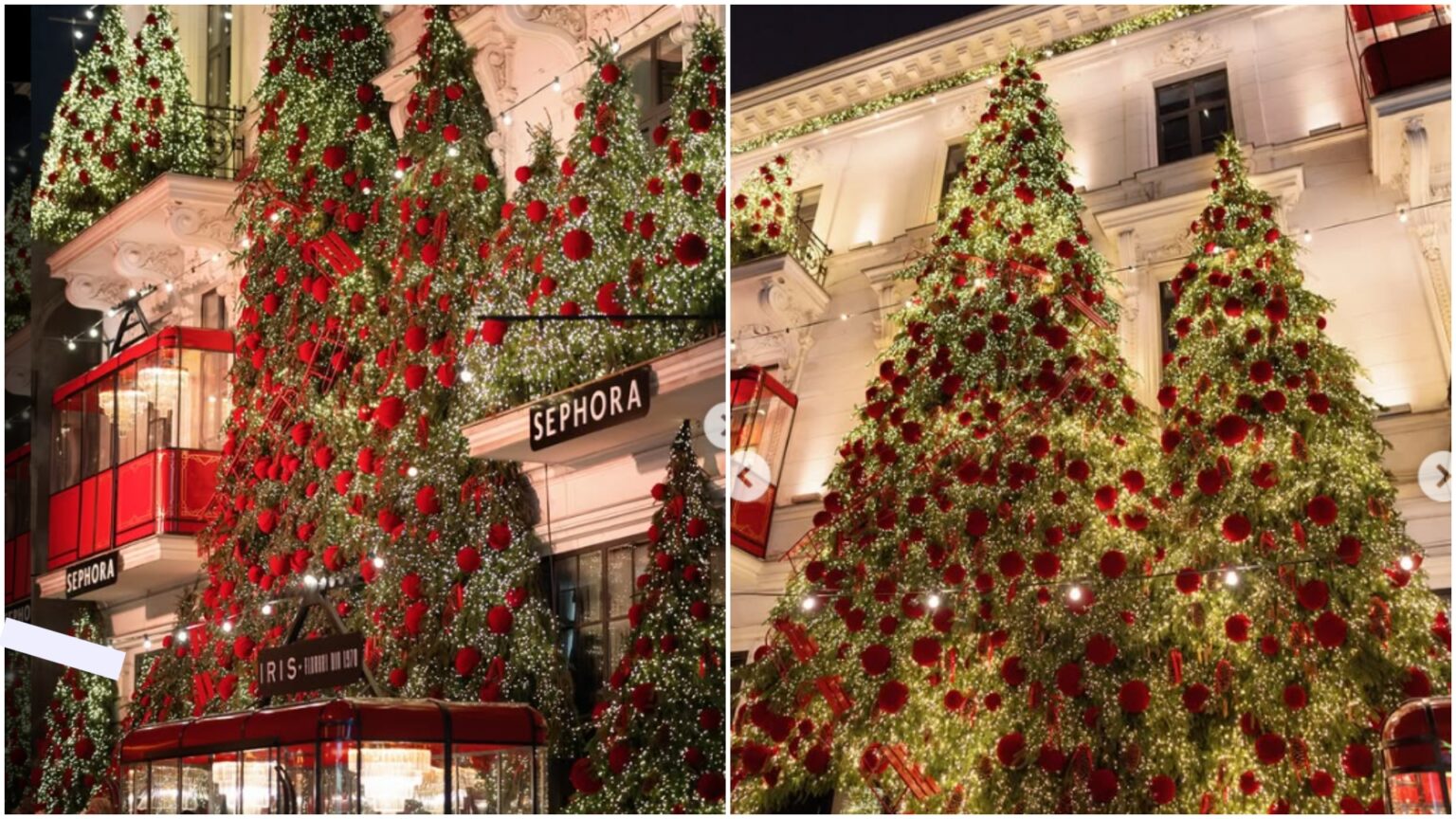 video floraria iris imbraca iar haina craciunului mii de lumini si decoratiuni de poveste la casa de pe cale mosilor 6922f9ab7a71e 1