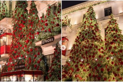 video floraria iris imbraca iar haina craciunului mii de lumini si decoratiuni de poveste la casa de pe cale mosilor 6922f9ab7a71e 1