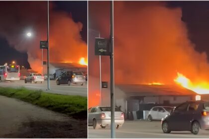 video incendiu extrem de violent in domnesti la doi pasi de bucuresti flacari uriase mari degajari de fum martor arde intre pasaj si statia electrica 6925e46826694