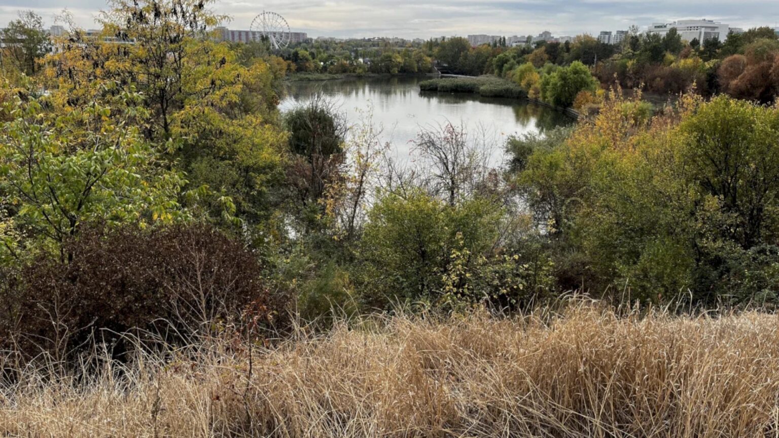 voluntariat si picnic pe pajistea petricani in acest weekend bucurestenii vor ajuta la reamenajarea zonei si vor paticipa si la un scurt tur ghidat 6914b314cd921
