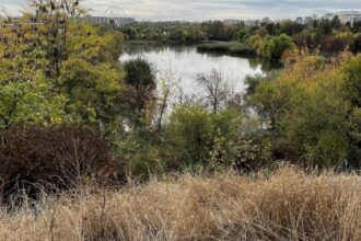 voluntariat si picnic pe pajistea petricani in acest weekend bucurestenii vor ajuta la reamenajarea zonei si vor paticipa si la un scurt tur ghidat 6914b314cd921