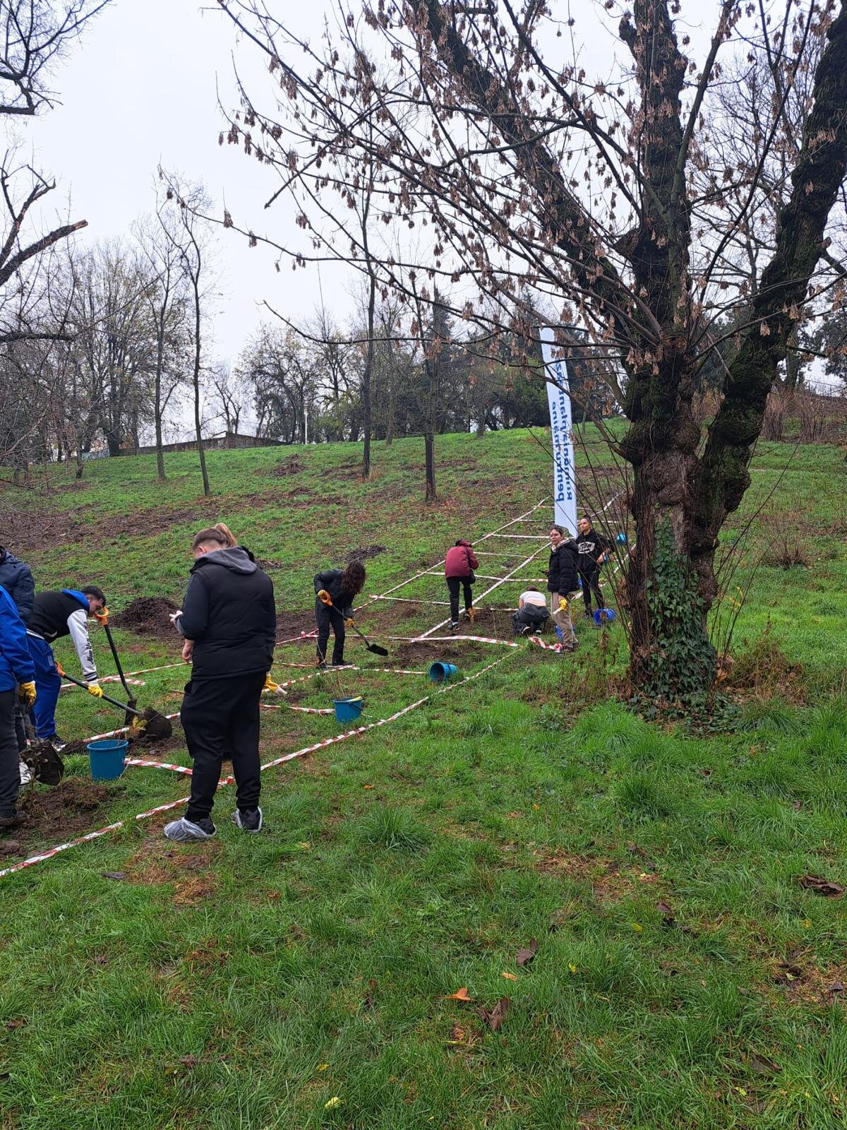 zilele acestea se planteaza copaci in parcul tineretului 6920079411606