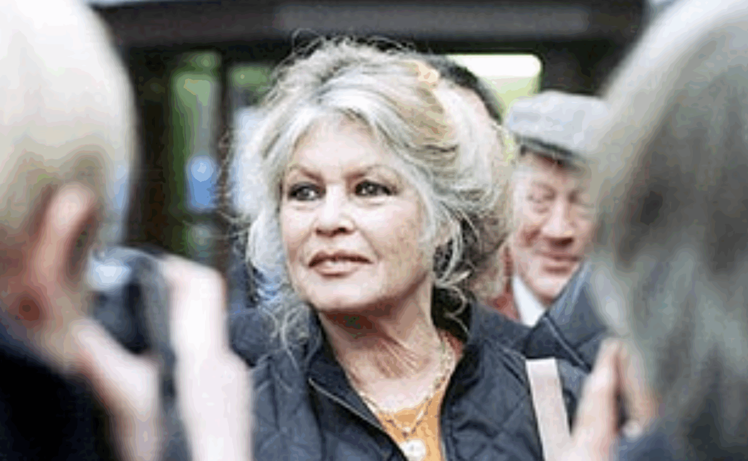 actrita franceza brigitte bardot a murit ea a venit in 2001 la bucuresti sa apere cainii fara stapan 695103c1f1d65