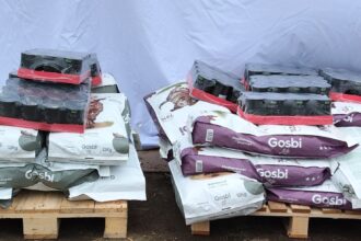 aspa a primit o donatie de 10 000 lei sub forma de hrana uscata si umeda 6940ef30306ae